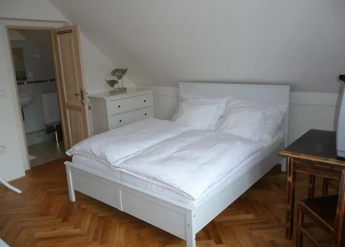 ホームステイ Venkoff Sázava